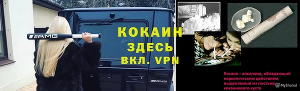mix Богородск