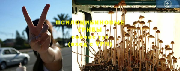 СК Богданович