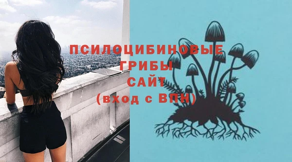 СК Богданович