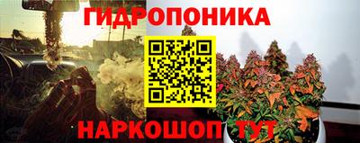 прущие грибы Бугуруслан