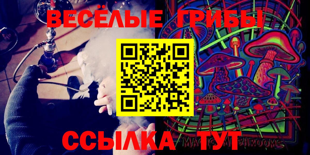 Псилоцибиновые грибы Psilocybe Валуйки