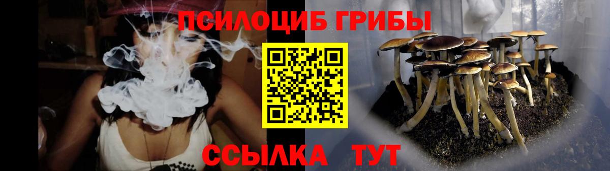 Псилоцибиновые грибы GOLDEN TEACHER  дарнет шоп  Валуйки  Псилоцибиновые грибы прущие грибы 